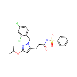 CC(C)Oc1cc(CCC(=O)NS(=O)(=O)c2ccccc2)n(Cc2ccc(Cl)cc2Cl)n1 ZINC000073219989