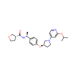 CC(C)Oc1cc(N2CC[C@@H](Oc3ccc([C@H](C)NC(=O)[C@@H]4CCOC4)cc3)C2)ccn1 ZINC000169709414