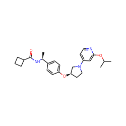 CC(C)Oc1cc(N2CC[C@@H](Oc3ccc([C@H](C)NC(=O)C4CCC4)cc3)C2)ccn1 ZINC000169709440