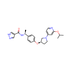 CC(C)Oc1cc(N2CC[C@@H](Oc3ccc([C@H](C)NC(=O)c4cn[nH]c4)cc3)C2)ccn1 ZINC000231377739