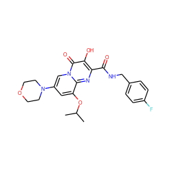 CC(C)Oc1cc(N2CCOCC2)cn2c(=O)c(O)c(C(=O)NCc3ccc(F)cc3)nc12 ZINC000064526911