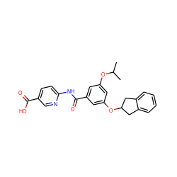 CC(C)Oc1cc(OC2Cc3ccccc3C2)cc(C(=O)Nc2ccc(C(=O)O)cn2)c1 ZINC000071331355