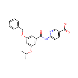 CC(C)Oc1cc(OCc2ccccc2)cc(C(=O)Nc2ccc(C(=O)O)cn2)c1 ZINC000028523120