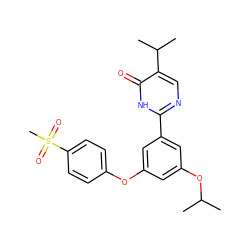 CC(C)Oc1cc(Oc2ccc(S(C)(=O)=O)cc2)cc(-c2ncc(C(C)C)c(=O)[nH]2)c1 ZINC000096273769