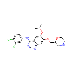 CC(C)Oc1cc2c(Nc3ccc(Cl)c(Cl)c3)ncnc2cc1OC[C@@H]1CNCCO1 ZINC000114822664