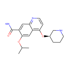 CC(C)Oc1cc2c(O[C@@H]3CCCNC3)ccnc2cc1C(N)=O ZINC001772622379