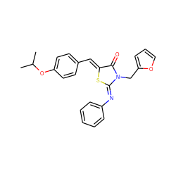 CC(C)Oc1ccc(/C=C2\S/C(=N\c3ccccc3)N(Cc3ccco3)C2=O)cc1 ZINC001772653301