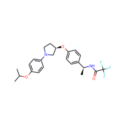 CC(C)Oc1ccc(N2CC[C@@H](Oc3ccc([C@H](C)NC(=O)C(F)(F)F)cc3)C2)cc1 ZINC001772635332