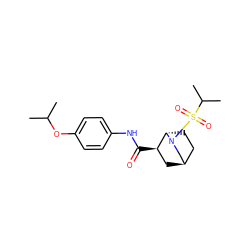 CC(C)Oc1ccc(NC(=O)[C@@H]2C[C@@H]3CC[C@@H]2N(S(=O)(=O)C(C)C)C3)cc1 ZINC000101283336