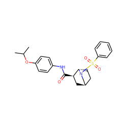 CC(C)Oc1ccc(NC(=O)[C@@H]2C[C@@H]3CC[C@@H]2N(S(=O)(=O)c2ccccc2)C3)cc1 ZINC000101283338