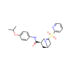 CC(C)Oc1ccc(NC(=O)[C@@H]2C[C@@H]3CC[C@@H]2N(S(=O)(=O)c2ccccn2)C3)cc1 ZINC000100093217