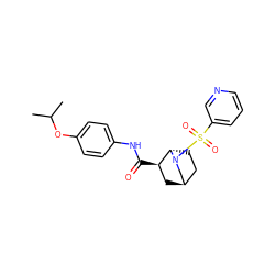 CC(C)Oc1ccc(NC(=O)[C@@H]2C[C@@H]3CC[C@@H]2N(S(=O)(=O)c2cccnc2)C3)cc1 ZINC000100093221