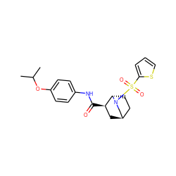 CC(C)Oc1ccc(NC(=O)[C@@H]2C[C@@H]3CC[C@@H]2N(S(=O)(=O)c2cccs2)C3)cc1 ZINC000101283364