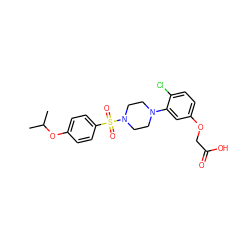 CC(C)Oc1ccc(S(=O)(=O)N2CCN(c3cc(OCC(=O)O)ccc3Cl)CC2)cc1 ZINC001772654402