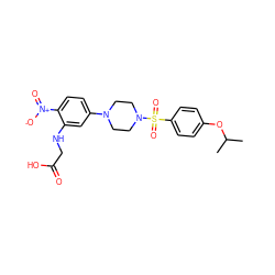 CC(C)Oc1ccc(S(=O)(=O)N2CCN(c3ccc([N+](=O)[O-])c(NCC(=O)O)c3)CC2)cc1 ZINC001772644015