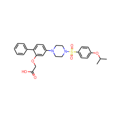 CC(C)Oc1ccc(S(=O)(=O)N2CCN(c3ccc(-c4ccccc4)c(OCC(=O)O)c3)CC2)cc1 ZINC001772618830