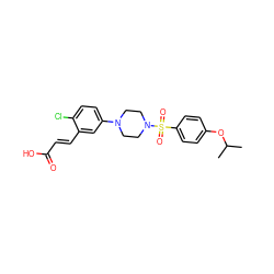 CC(C)Oc1ccc(S(=O)(=O)N2CCN(c3ccc(Cl)c(/C=C/C(=O)O)c3)CC2)cc1 ZINC001772574655