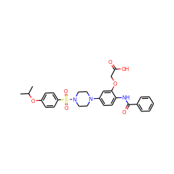 CC(C)Oc1ccc(S(=O)(=O)N2CCN(c3ccc(NC(=O)c4ccccc4)c(OCC(=O)O)c3)CC2)cc1 ZINC001772651374