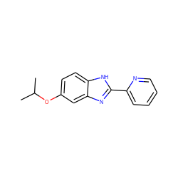 CC(C)Oc1ccc2[nH]c(-c3ccccn3)nc2c1 ZINC000113175310