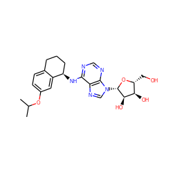 CC(C)Oc1ccc2c(c1)[C@H](Nc1ncnc3c1ncn3[C@@H]1O[C@H](CO)[C@@H](O)[C@H]1O)CCC2 ZINC000013649512