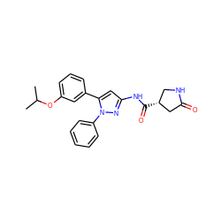 CC(C)Oc1cccc(-c2cc(NC(=O)[C@@H]3CNC(=O)C3)nn2-c2ccccc2)c1 ZINC000169707214