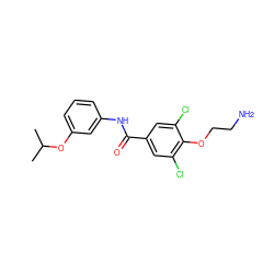 CC(C)Oc1cccc(NC(=O)c2cc(Cl)c(OCCN)c(Cl)c2)c1 ZINC000028966930