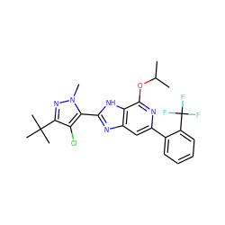 CC(C)Oc1nc(-c2ccccc2C(F)(F)F)cc2nc(-c3c(Cl)c(C(C)(C)C)nn3C)[nH]c12 ZINC001772577849