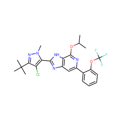 CC(C)Oc1nc(-c2ccccc2OC(F)(F)F)cc2nc(-c3c(Cl)c(C(C)(C)C)nn3C)[nH]c12 ZINC000147950433