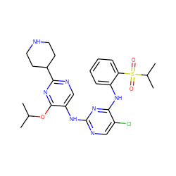 CC(C)Oc1nc(C2CCNCC2)ncc1Nc1ncc(Cl)c(Nc2ccccc2S(=O)(=O)C(C)C)n1 ZINC000096272773