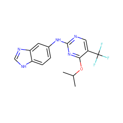 CC(C)Oc1nc(Nc2ccc3[nH]cnc3c2)ncc1C(F)(F)F ZINC000028520534