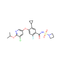 CC(C)Oc1ncc(Oc2cc(F)c(C(=O)NS(=O)(=O)N3CCC3)cc2C2CC2)cc1Cl ZINC000217905108