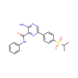 CC(C)S(=O)(=O)c1ccc(-c2cnc(N)c(C(=O)Nc3ccccc3)n2)cc1 ZINC000071319216