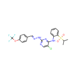 CC(C)S(=O)(=O)c1ccccc1Nc1nc(N/N=C/c2ccc(OC(F)(F)F)cc2)ncc1Cl ZINC001772654395