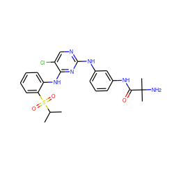 CC(C)S(=O)(=O)c1ccccc1Nc1nc(Nc2cccc(NC(=O)C(C)(C)N)c2)ncc1Cl ZINC000299834254