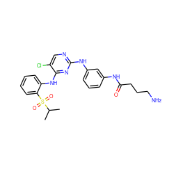 CC(C)S(=O)(=O)c1ccccc1Nc1nc(Nc2cccc(NC(=O)CCCN)c2)ncc1Cl ZINC000299819608