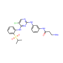 CC(C)S(=O)(=O)c1ccccc1Nc1nc(Nc2cccc(NC(=O)CCN)c2)ncc1Cl ZINC000299839665