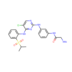 CC(C)S(=O)(=O)c1ccccc1Nc1nc(Nc2cccc(NC(=O)CN)c2)ncc1Cl ZINC000214533665