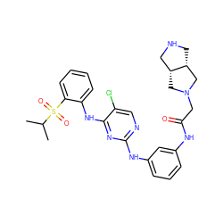 CC(C)S(=O)(=O)c1ccccc1Nc1nc(Nc2cccc(NC(=O)CN3C[C@@H]4CNC[C@@H]4C3)c2)ncc1Cl ZINC000299840942