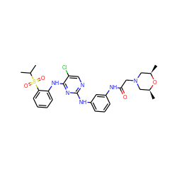 CC(C)S(=O)(=O)c1ccccc1Nc1nc(Nc2cccc(NC(=O)CN3C[C@H](C)O[C@H](C)C3)c2)ncc1Cl ZINC000299838378