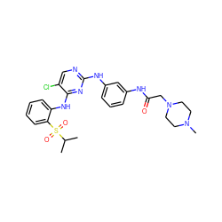 CC(C)S(=O)(=O)c1ccccc1Nc1nc(Nc2cccc(NC(=O)CN3CCN(C)CC3)c2)ncc1Cl ZINC000299821963