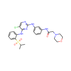 CC(C)S(=O)(=O)c1ccccc1Nc1nc(Nc2cccc(NC(=O)CN3CCOCC3)c2)ncc1Cl ZINC000299822484