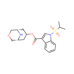 CC(C)S(=O)(=O)n1cc(C(=O)OC2C[C@H]3COC[C@@H](C2)N3)c2ccccc21 ZINC001772569923