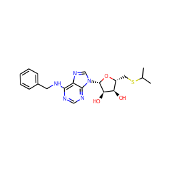 CC(C)SC[C@H]1O[C@@H](n2cnc3c(NCc4ccccc4)ncnc32)[C@H](O)[C@@H]1O ZINC000013796809