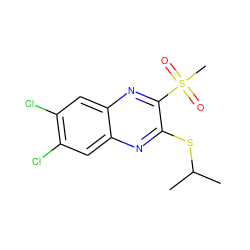 CC(C)Sc1nc2cc(Cl)c(Cl)cc2nc1S(C)(=O)=O ZINC000028950993