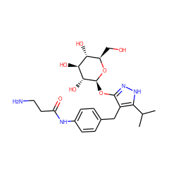 CC(C)c1[nH]nc(O[C@@H]2O[C@H](CO)[C@@H](O)[C@H](O)[C@H]2O)c1Cc1ccc(NC(=O)CCN)cc1 ZINC000095582185