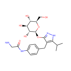 CC(C)c1[nH]nc(O[C@@H]2O[C@H](CO)[C@@H](O)[C@H](O)[C@H]2O)c1Cc1ccc(NC(=O)CN)cc1 ZINC000036403805