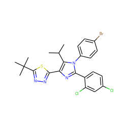 CC(C)c1c(-c2nnc(C(C)(C)C)s2)nc(-c2ccc(Cl)cc2Cl)n1-c1ccc(Br)cc1 ZINC000042878592