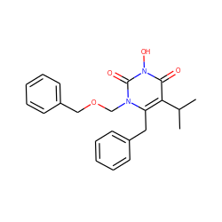 CC(C)c1c(Cc2ccccc2)n(COCc2ccccc2)c(=O)n(O)c1=O ZINC000066066048