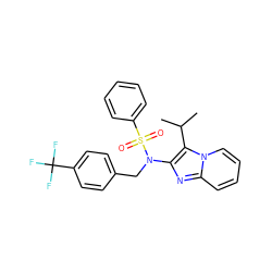 CC(C)c1c(N(Cc2ccc(C(F)(F)F)cc2)S(=O)(=O)c2ccccc2)nc2ccccn12 ZINC000167645998