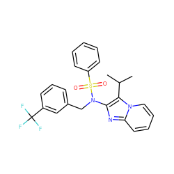 CC(C)c1c(N(Cc2cccc(C(F)(F)F)c2)S(=O)(=O)c2ccccc2)nc2ccccn12 ZINC000167646113